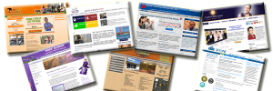 Image file 600 x 100 of Examples of Custom WordPress Themes by Foss Marketing Group